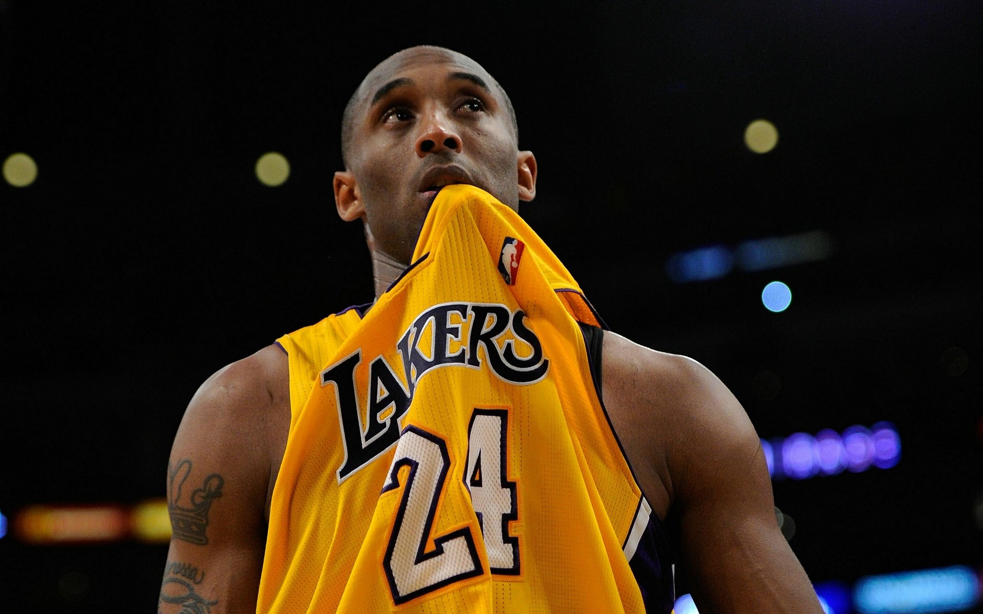 们借助资金 们借助资金